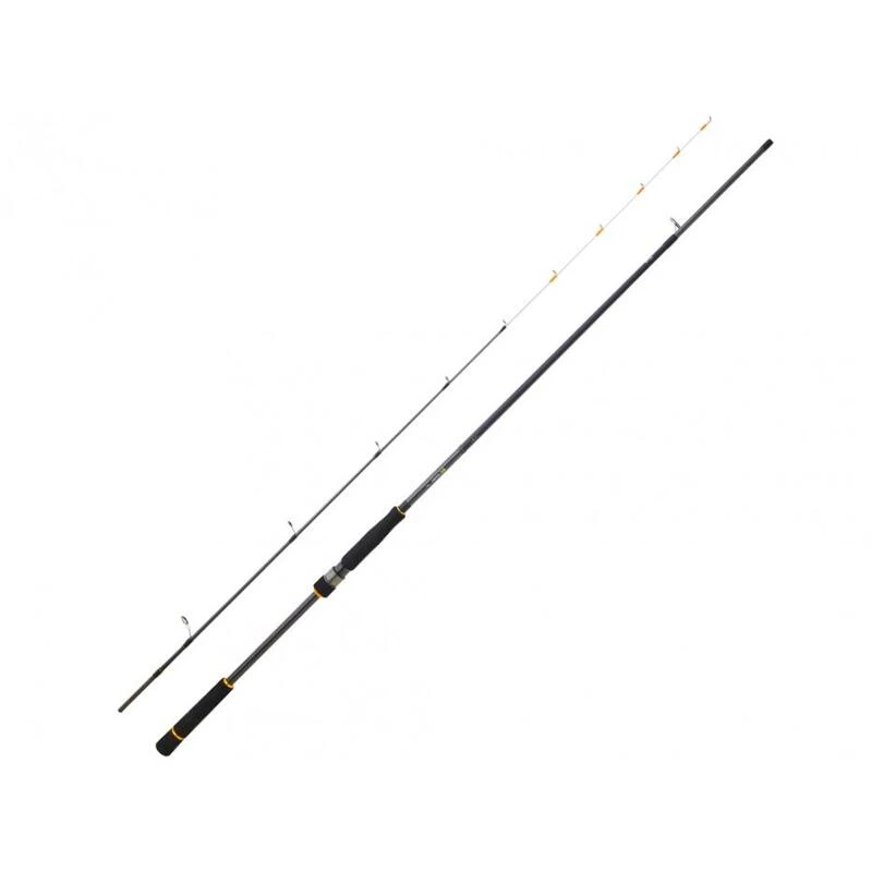Canne Spinning Daiwa BG Tenya Game (133g - 2m40 - 10 - 42g - 2) 3 Canne Spinning Daiwa BG Tenya Game (133g - 2m40 - 10 - 42g - 2)