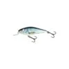 Poisson Nageur Salmo Executor (EX12SR - RD - Real Dace) -Pêche Soldes Boutique poisson nageur salmo executor ex12sr rd real dace