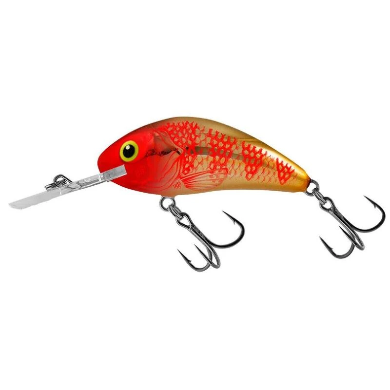 Poisson Nageur Salmo Rattlin Hornet Flottant 6,5cm (Golden Red Head) 4 Poisson Nageur Salmo Rattlin Hornet Flottant 6,5cm (Golden Red Head) – Image 2