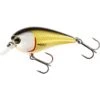 Poisson Nageur Westin Bassbite Squarebill 7cm (Official Roach) 1 Poisson Nageur Westin Bassbite Squarebill 7cm (Official Roach) -Pêche Soldes Boutique poisson nageur westin bassbite squarebill 7cm official roach